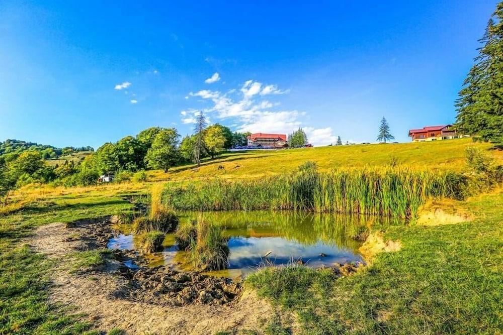 Cabana Trei Brazi Predeal Dış mekan fotoğraf