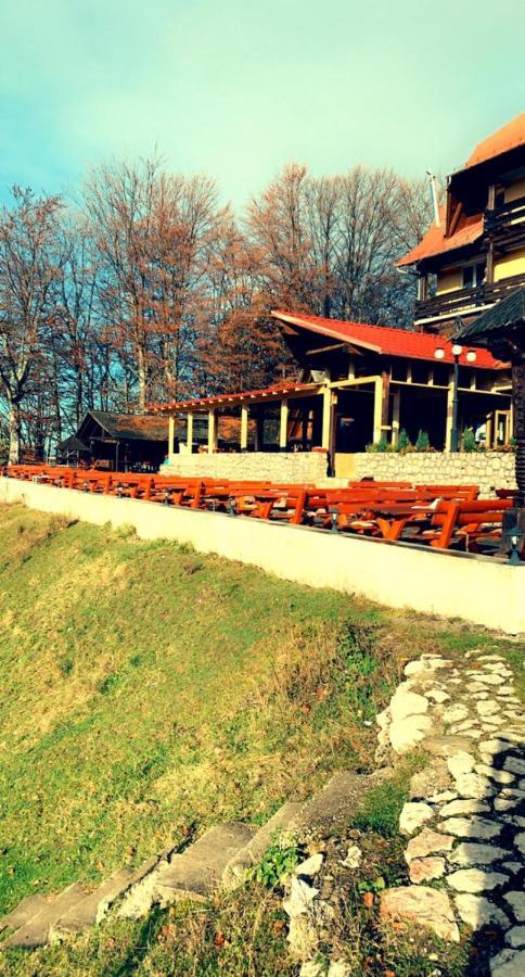 Cabana Trei Brazi Predeal Dış mekan fotoğraf