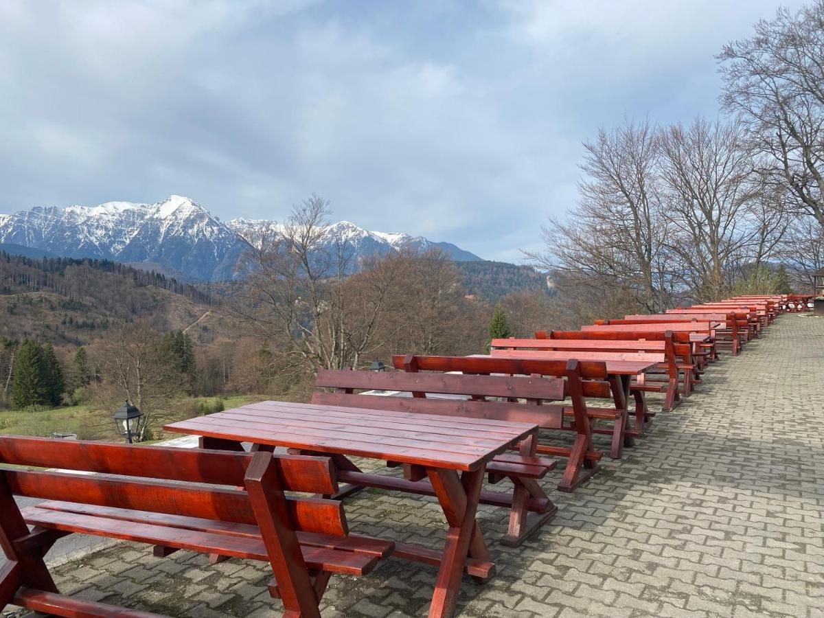Cabana Trei Brazi Predeal Dış mekan fotoğraf
