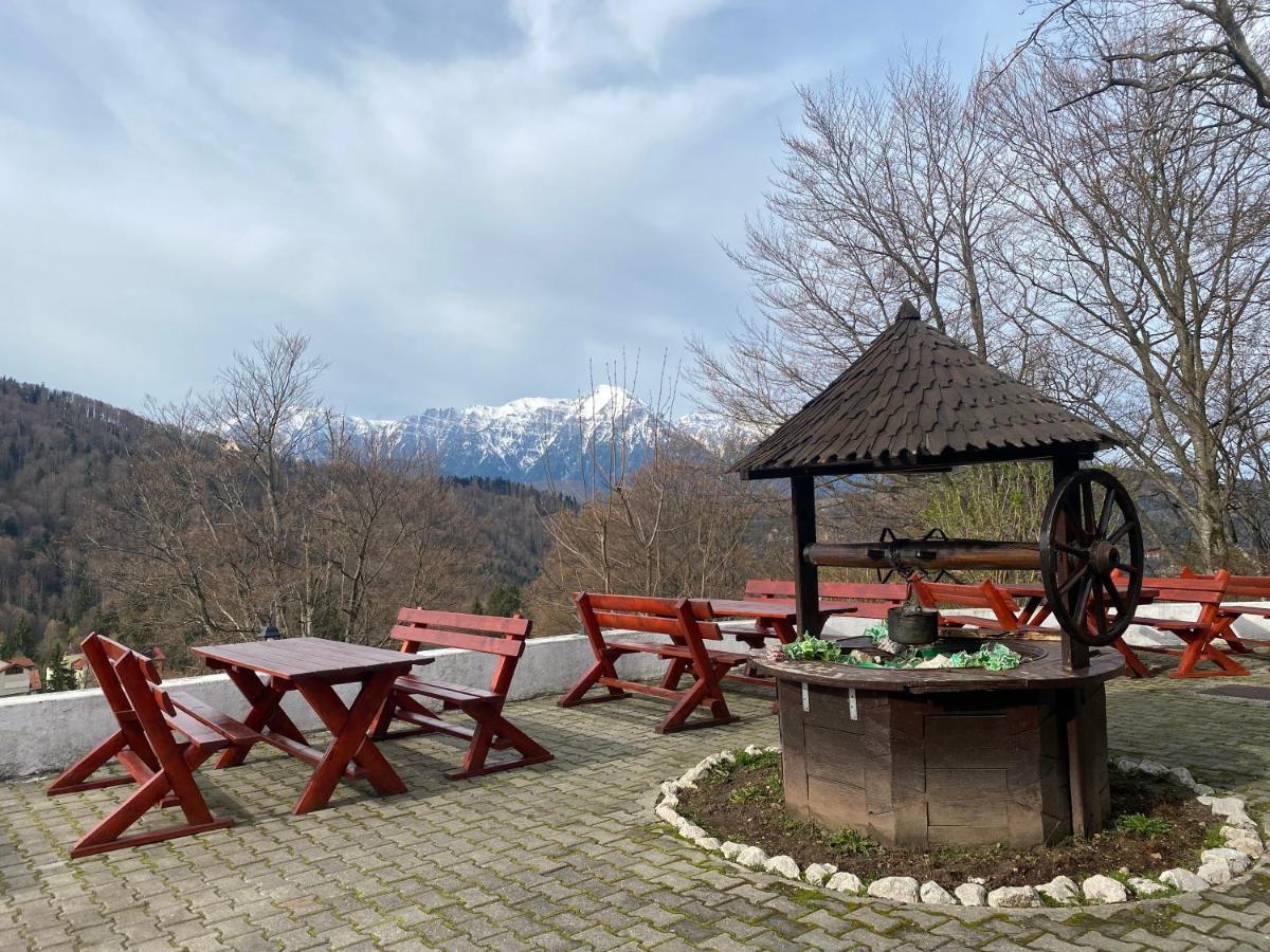 Cabana Trei Brazi Predeal Dış mekan fotoğraf