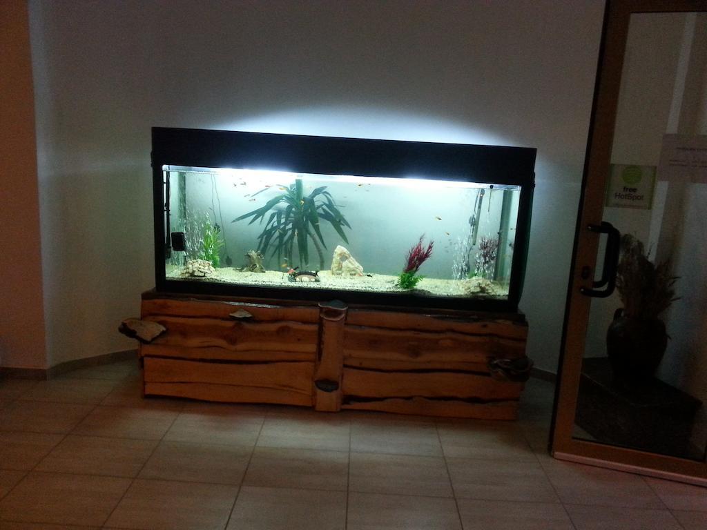 Cabana Trei Brazi Predeal Dış mekan fotoğraf