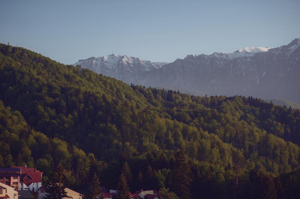 Cabana Trei Brazi Predeal Dış mekan fotoğraf